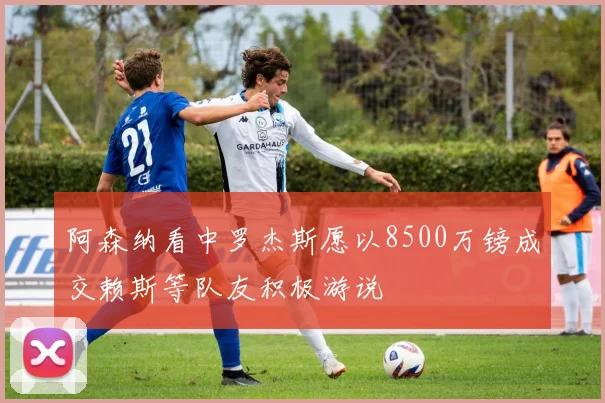 阿森纳看中罗杰斯愿以8500万镑成交赖斯等队友积极游说