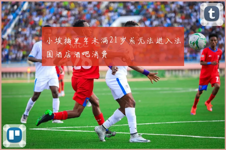 小埃梅里年未满21岁或无法进入法国酒店酒吧消费