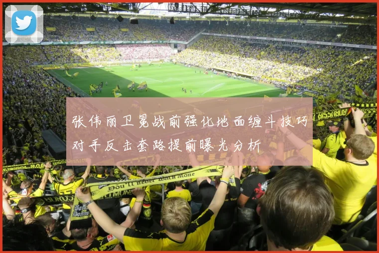 张伟丽卫冕战前强化地面缠斗技巧对手反击套路提前曝光分析