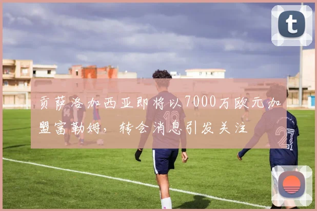 贡萨洛加西亚即将以7000万欧元加盟富勒姆,转会消息引发关注