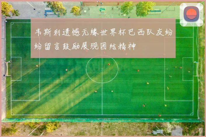 韦斯利遗憾无缘世界杯巴西队友纷纷留言鼓励展现团结精神
