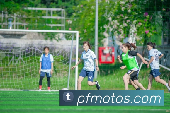 体育直播服务